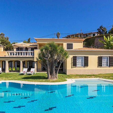 Vila Eucalipto by Travel to Madeira Funchal  Esterno foto
