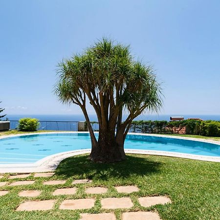 Vila Eucalipto by Travel to Madeira Funchal  Esterno foto