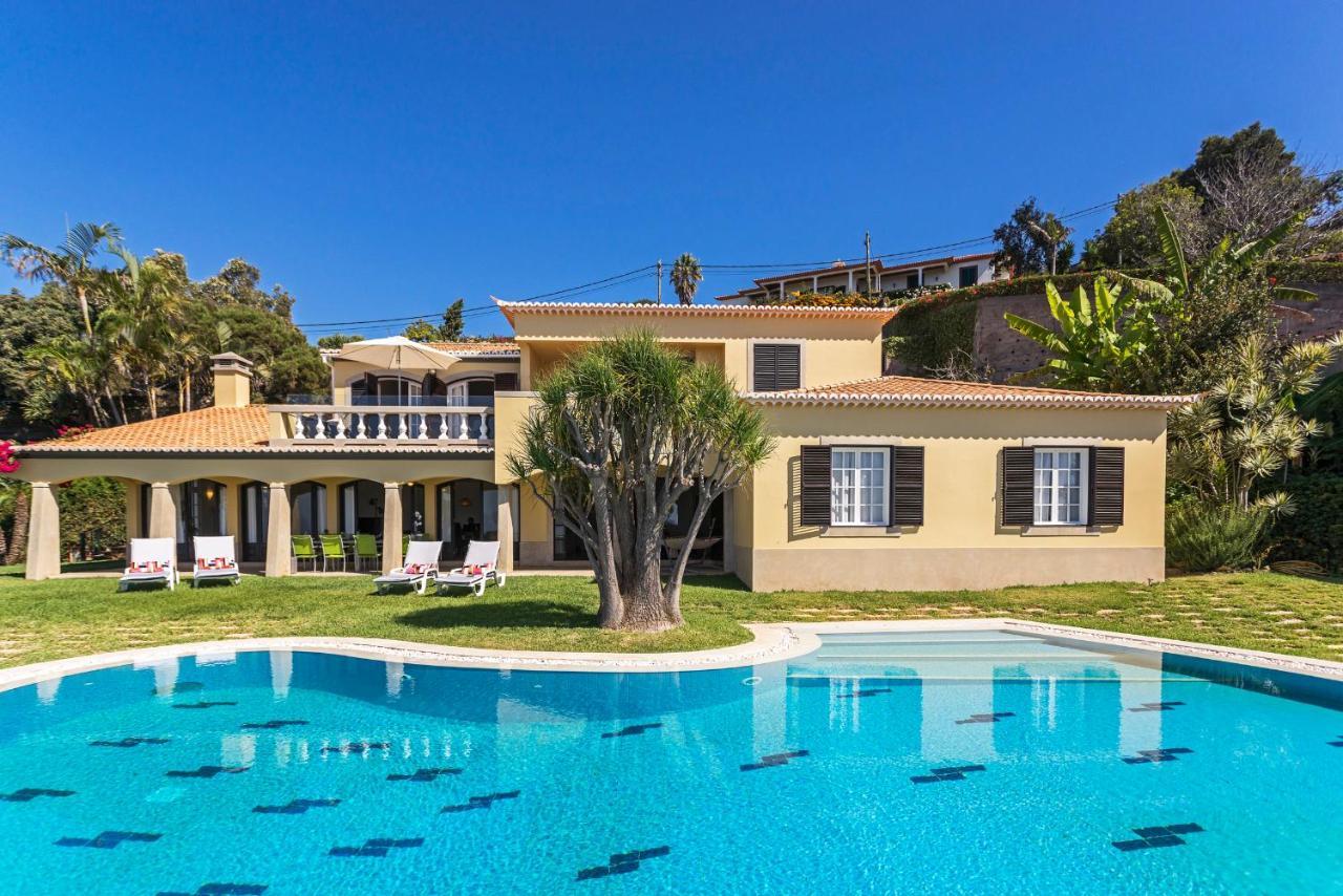 Vila Eucalipto by Travel to Madeira Funchal  Esterno foto
