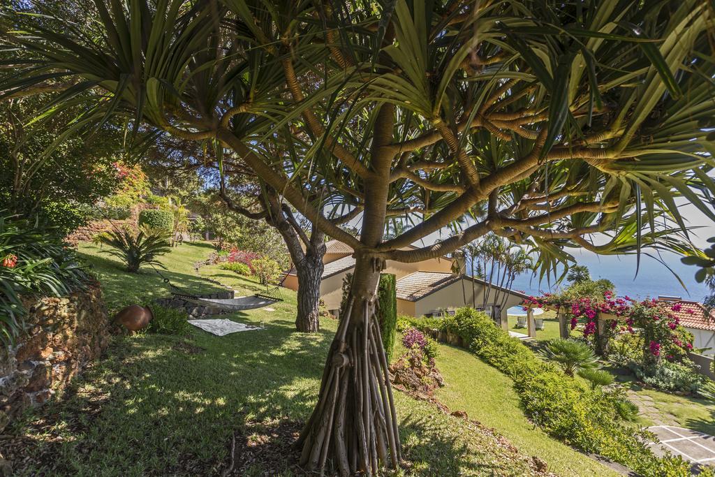 Vila Eucalipto by Travel to Madeira Funchal  Esterno foto